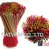 color-natural-incense-stick